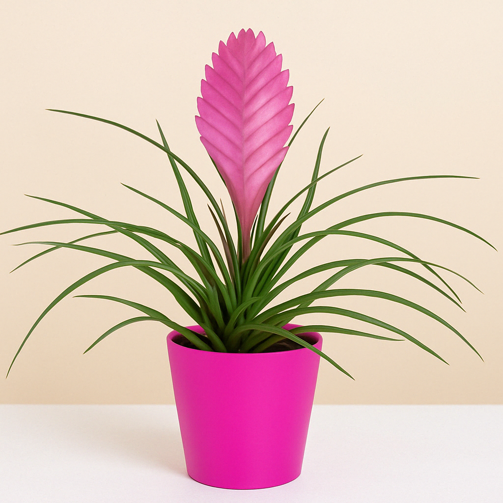 фото букета