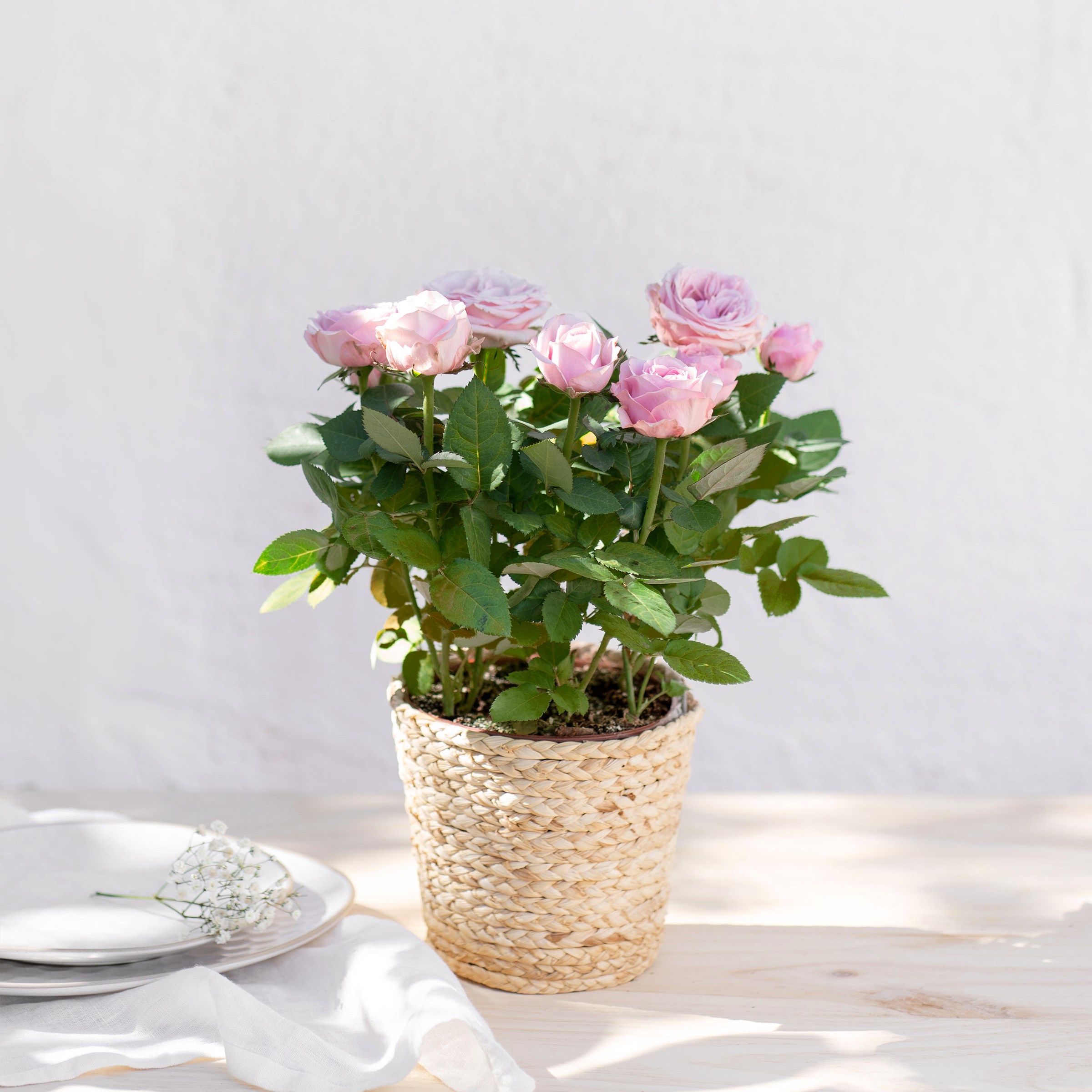 фото букета