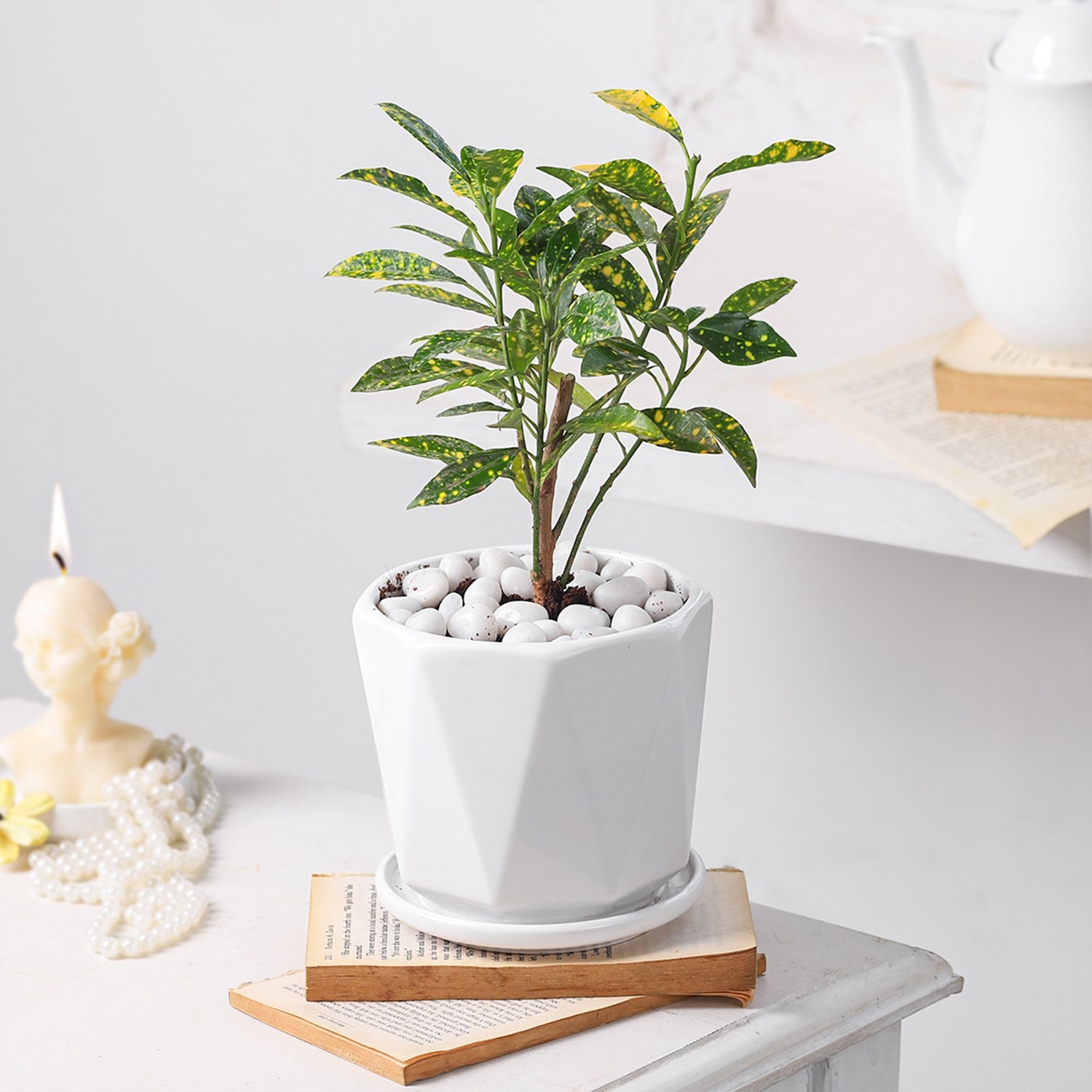 фото букета