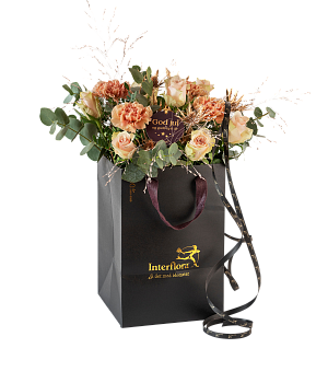 Christmas Classic Soft 240505