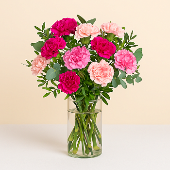 Bouquet of carnations