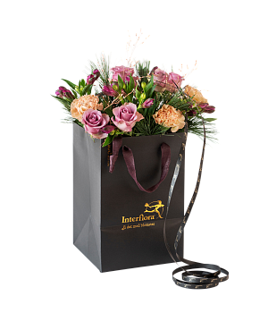 November Classic 240508