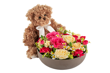 Celebrate and Teddy 250360